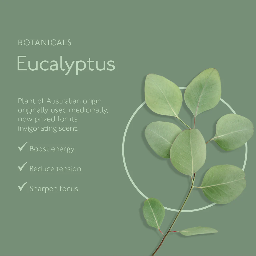 Awaken Mint & Eucalyptus Conditoner 1L Refill - Image 2
