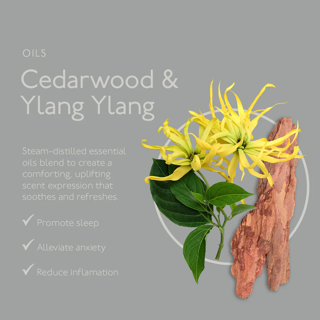 Renew Cedarwood & Ylang Ylang Hand & Body Lotion - Image 5