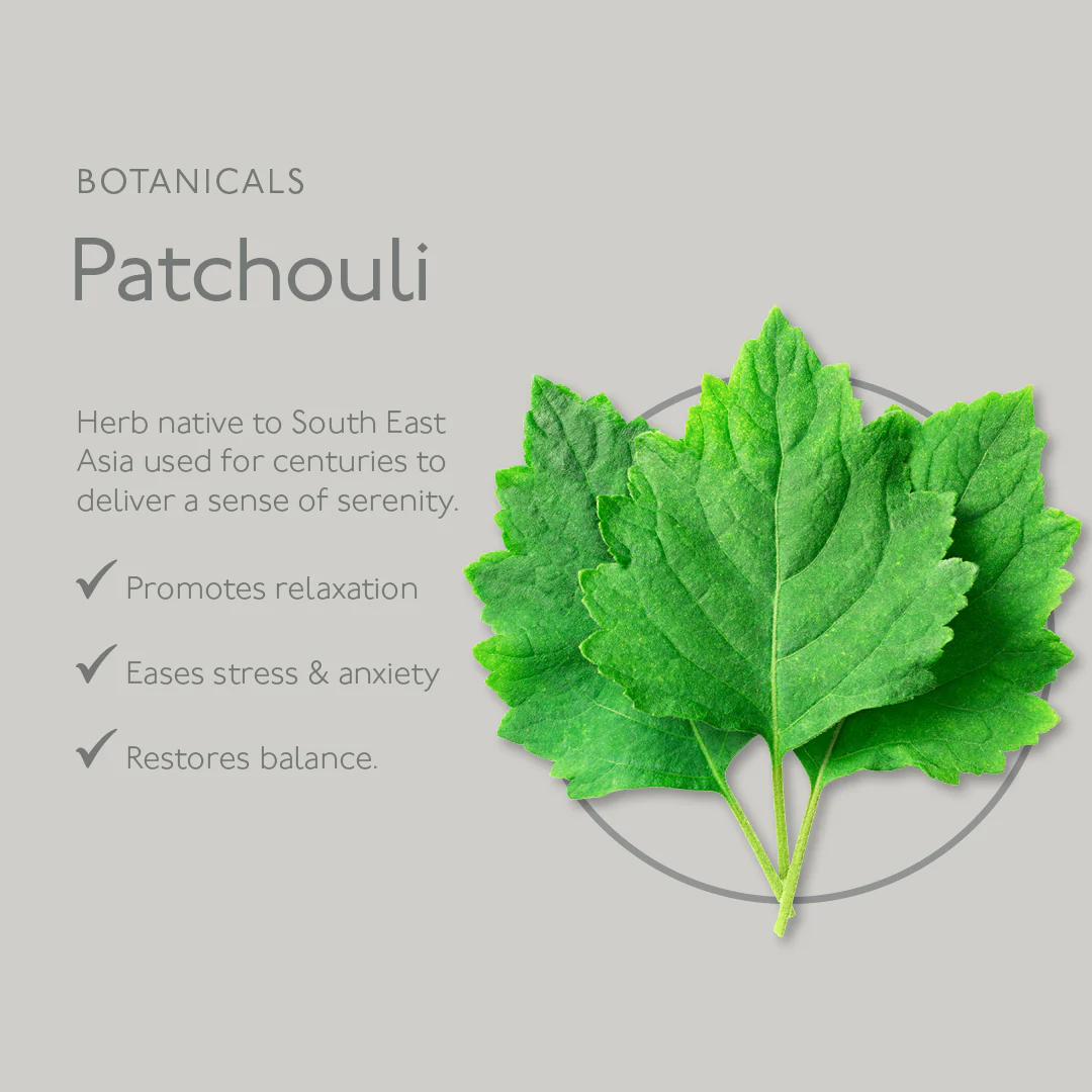 Renew Cedarwood & Ylang Ylang Hand Wash - Image 5
